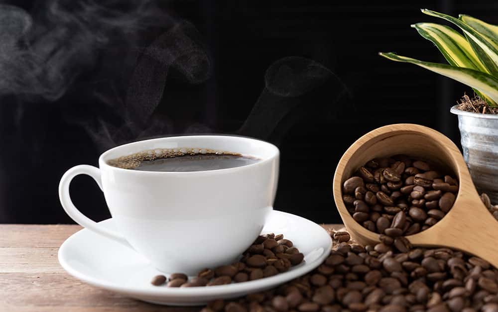 Geisha Kaffee – die vielleicht beste Kaffeesorte der Welt