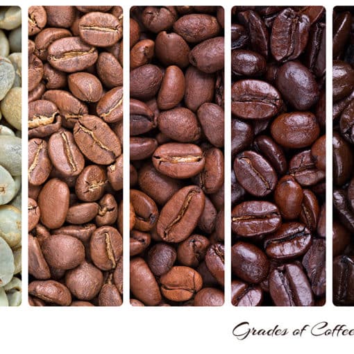 Neue Kaffeesorten – was ist dieses Jahr im Trend?